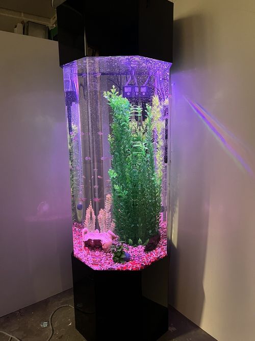 column aquarium tower fish tank — image 15