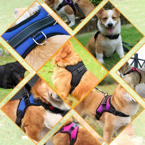 Dog Harness No Pull For Small Medium Large Dogs Anti Pull Strong And Adjustable — image 6