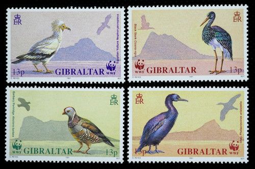 WWF ~ Birds ~ Vulture ~ Stork  ~ Gibraltar ~ 1991 ~ MNH ~ SG655/8