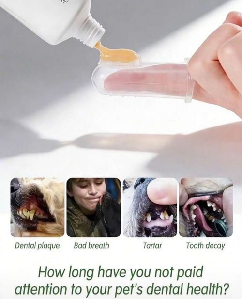 pet finger toothbrush silicon dog cat dental care soft bristles — image 2