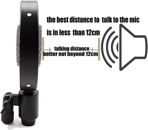Vintage Condenser Microphone 25mm Diaphragm XLR Studio Vocal Broadcasting — image 6