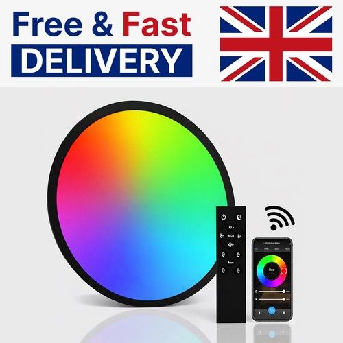 DOMIRA Smart LED Ceiling Light 24W Ø30cm RGB WiFi Alexa Remote Black