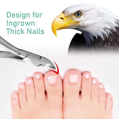 Quality Toe Nail Clippers - Podiatry Nippers - Chiropody Cutters — image 3