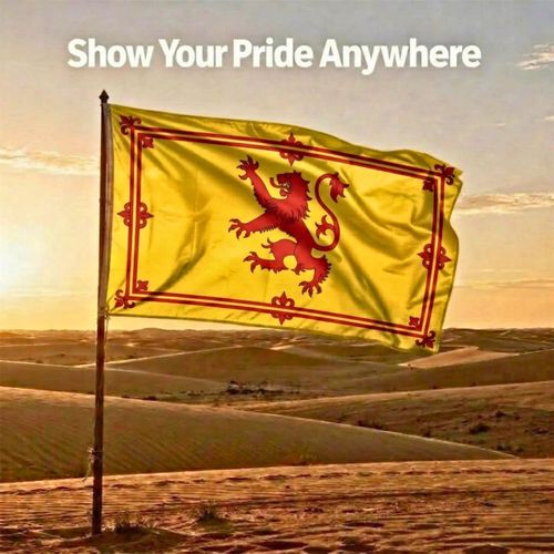 Large Scotland Rampant Lion Flag 5X3FT Football World Cup Scottish Fan Support — image 9