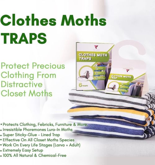 Professional Clothes Moth Killer 6 Pack with Strong Pheromone Attractant — image 7