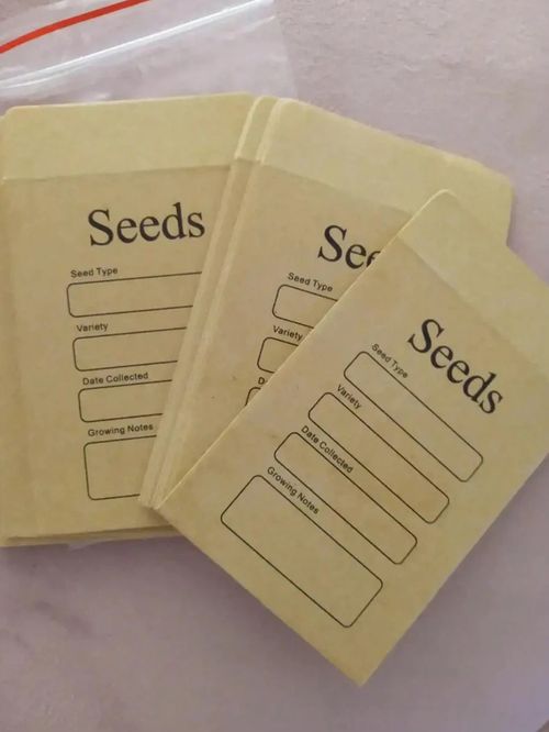 20pc Seed Packets Envelopes Self Sealing Kraft Small Seed Saving Envelopes — image 3