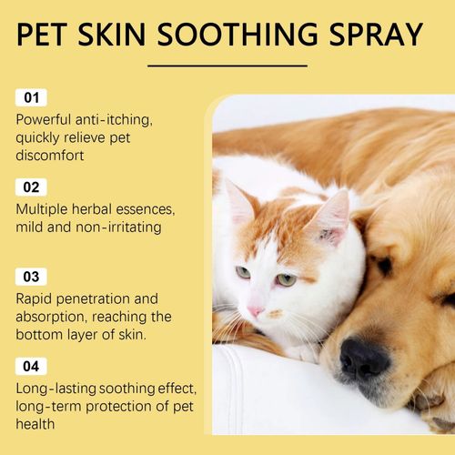 Zoomie Dog Itch Relief Spray Hot Spot Treatment Pet Skin Care Anti Itch Formula — image 6