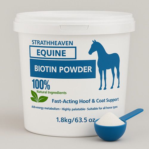 Equine Biotin Powder Horse Supplement Hoof Growth 90 day Supply 1.8kg scoop=15mg