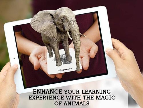 Octagon 4D+ Animals Cards - Augmented Reality, Educational Toy — image 4