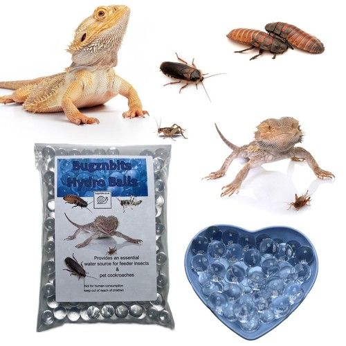 Bugznbits Hydro Balls, Bug Gel Alternative, Crickets Cockroach locust Feeder