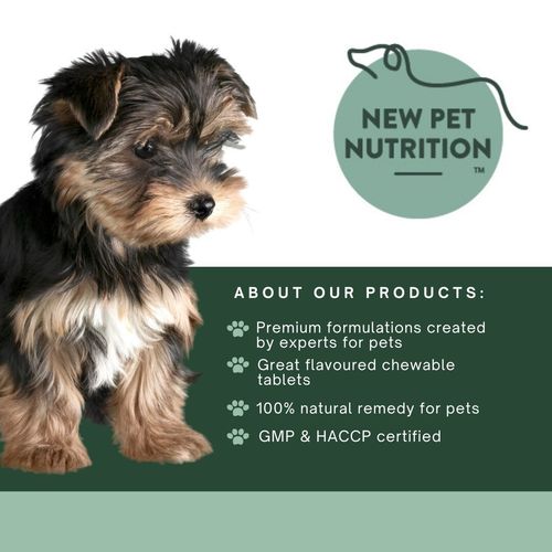 Chewable flavoured  Multivitamins & Minerals 17 Essential Vitamins  4 Dogs, Pets — image 2