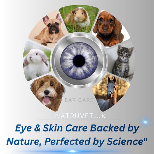Dogs Eye Drops LARGE 2 x 30 ML ADVANCED — image 4