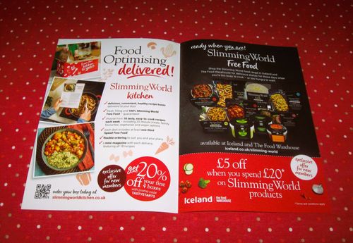 NEW! 2026 PLAN SLIMMING WORLD STARTER PACK COMPLETE, SWIPS VALUES & 6 WK JOURNAL — image 4
