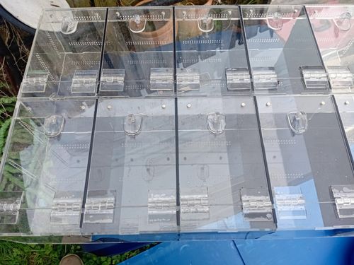 Clear Acrylic Spider/Invertebrate Enclosure Rack, Multi-Compartment Hinged Doors — image 7