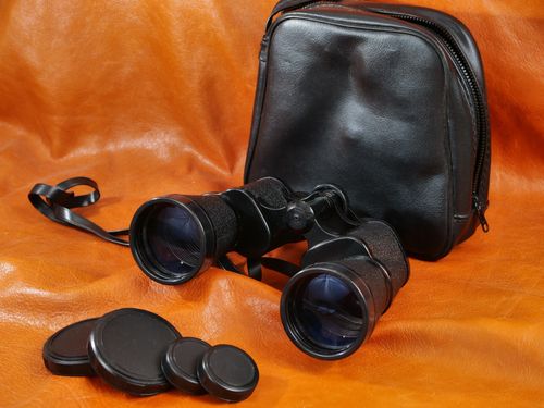 #4124 Hanimex Binoculars Coated Optics 12 x 50mm Wide Angle — image 1