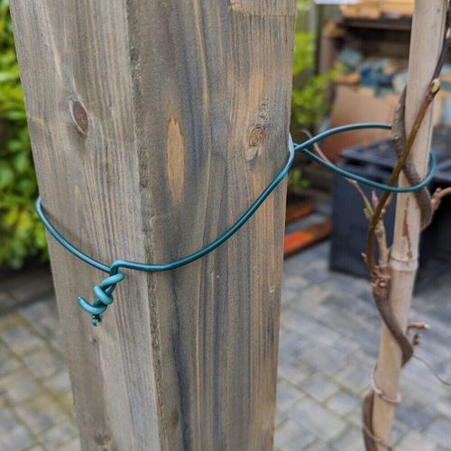 25-100M ROLL HEAVY DUTY WIRE GALVANISED PVC COATED GARDEN FENCING GREEN PLANT — image 5