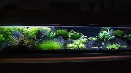 Black Aquarium Gravel Fish Tank Terrarium Sand Plant Soil Substrate 30kg 3-5mm — image 11