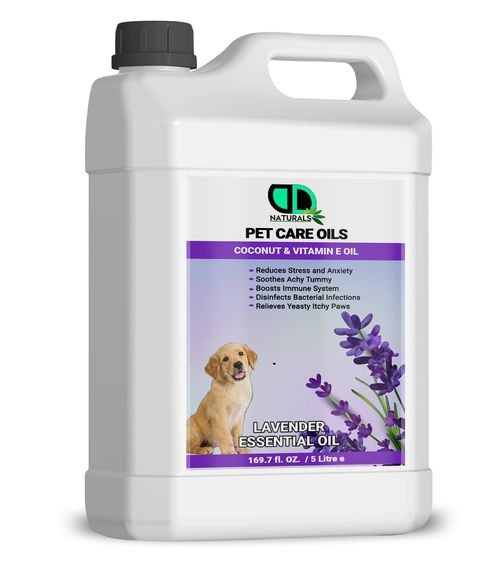 Dog Massage Oil  with Lavender Essential Oil – Reduce Stress & Anxiety UK — image 1