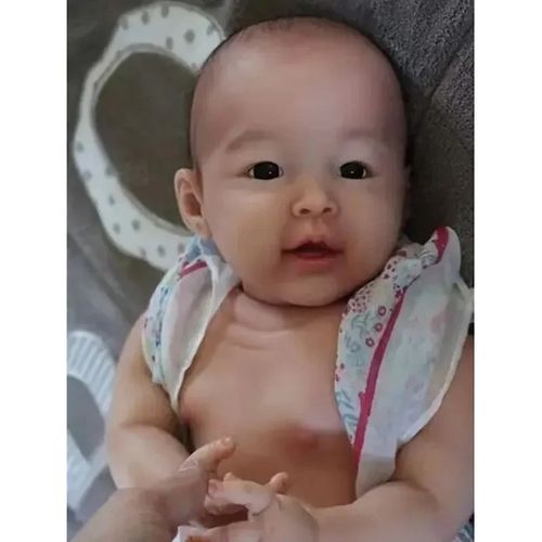 24inch Newborn Baby Reborn Doll Kit Baby Meilien Lifelike Soft Touch Fresh Color — image 5