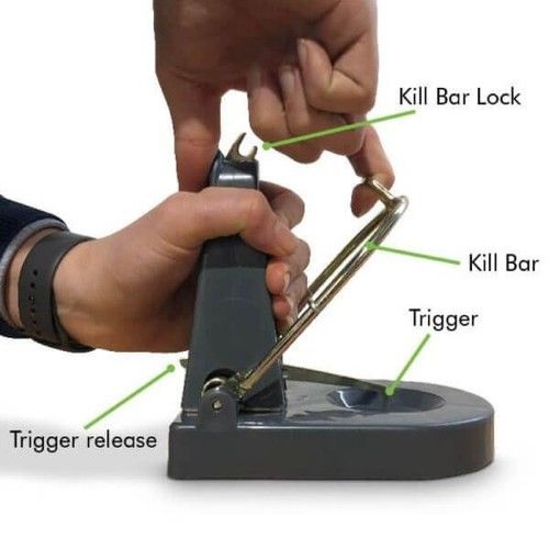Black Cat Rat Trap  - Powerful Reusable Humane Kill Rodent Control