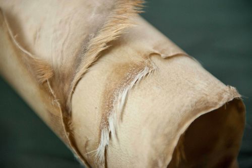 real parchment goat parchment rawhide bookbinding — image 2