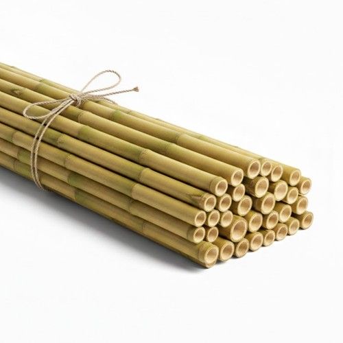 Strong Thick Bamboo Canes Heavy Duty Garden Plant Support Stakes Gardening Cane