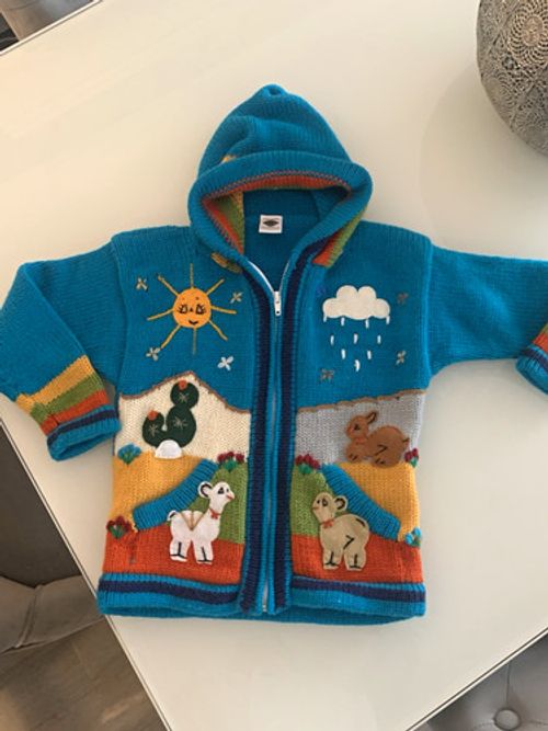 Inkas Crafts Knit Hooded Full Zip Cardigan Blue Multicolour Embroidered Animals