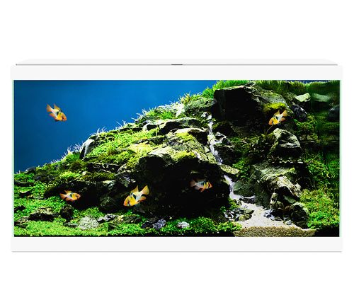 **BRAND NEW** Fish Tank Aquarium & Optional Stand: Heater, Filter & More Include — image 7