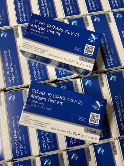 10 x Covid-19 Antigen Self Testing Home Kit Travelling EXPIRY SEP 2027