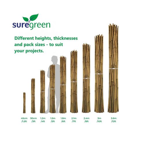 Suregreen Bamboo Canes 2.4m/8ft | 14-16mm | 100 Pack — image 13