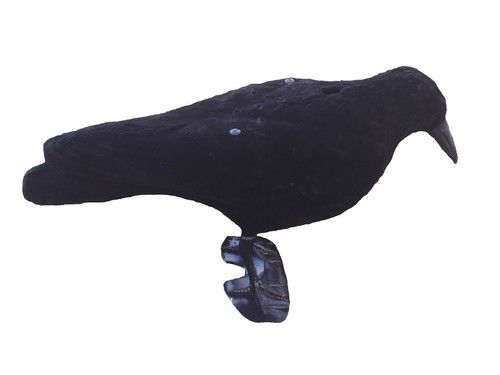 Calling Crow Decoy Battery Operated Call Shooting Crow Shooting