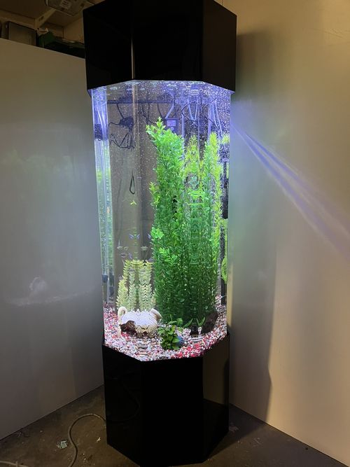 column aquarium tower fish tank — image 6