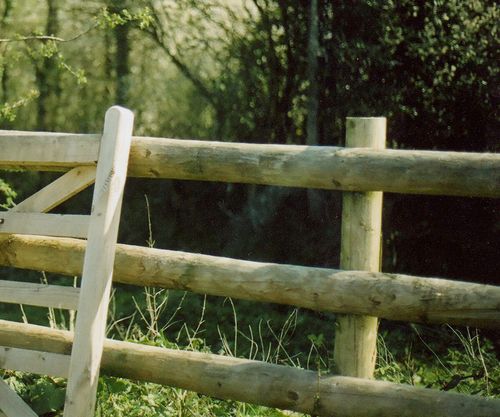 Half Round Fence Rail 3.6m 100mm 4" Green Treated Garden Mesh Fencing Wooden — image 3