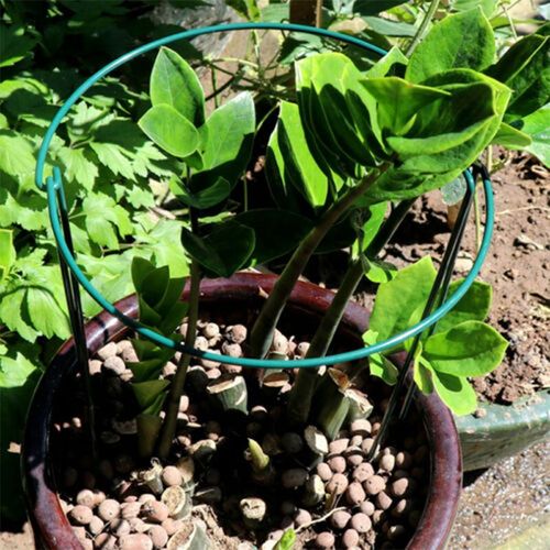 8 Pack Bow Plant Support Stakes Half Round Flower Support Ring Cage Frame Metal — image 7