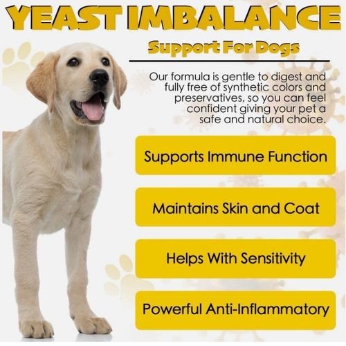 2xYeast Infection Treatment for Dog ,Natural Yeast Infection Treatment for Dogs — image 4