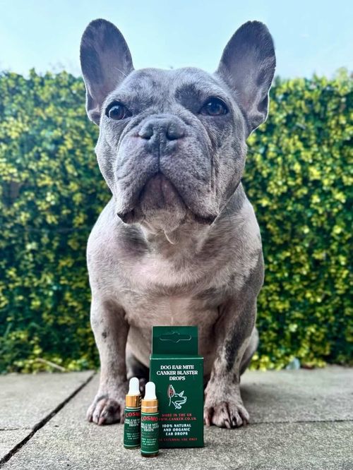 🇬🇧20k+ SOLD 5ml Ear Mite Treatment Blaster Spray Drops Anxious Pets Itchy Ears — image 6