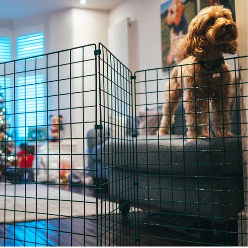 Indoor Dog Fence Folding Mesh Gate Barrier Door Portable Room Hallway Divider — image 4