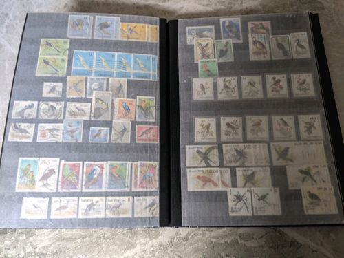 Birds of the World Stamps .over  1250 stamps , lee than 15p each — image 6