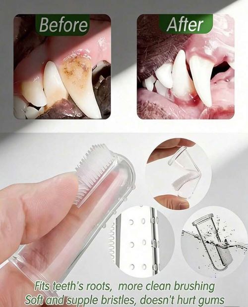 pet finger toothbrush silicon dog cat dental care soft bristles — image 3