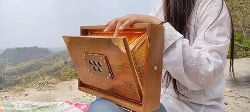15" Teak Wood Shruti Box with Pedal Shruti Box with Bag, 440Hz Tuned — image 3