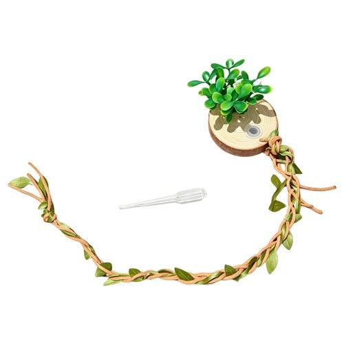 Jumping Spider Enclosure Accessories Jumping Spider Platform Habitat Decor