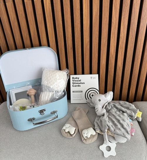 Palotix Newborn Baby Boy Gift Hamper Set: Newborn Essentials with Elephant Comfo
