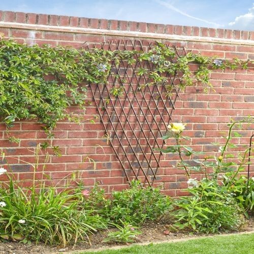 Extra Strong Expanding Fan Willow Trellis 1.8m X 0.9m — image 1
