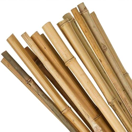Professional Heavy Duty Bamboo Canes Strong Garden Canes Plant Support 2FT-6FT ! — image 5