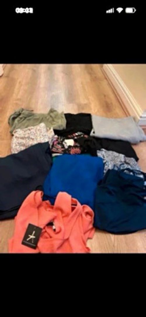 Mixed Clothing Wholesale Job Lot Bundle of Assorted Garments in uk16