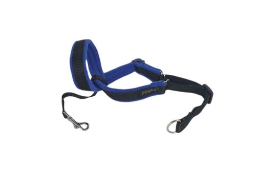 2Posh2Pull Original Headcollar The GENTLE way to STOP pulling - Lots of Colours  — image 1
