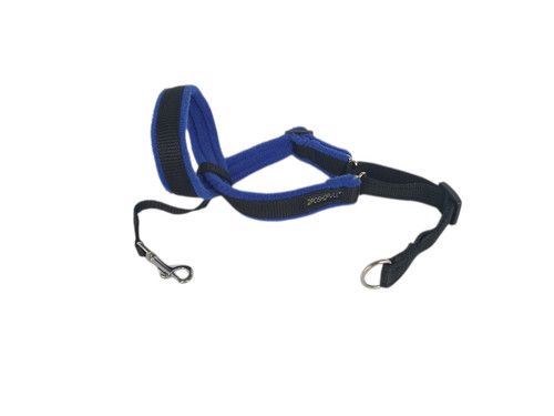 2Posh2Pull Original Headcollar The GENTLE way to STOP pulling - Lots of Colours 
