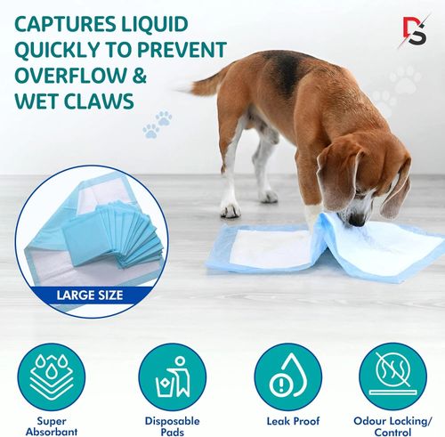 100 Large Puppy Training Trainer Train Pads Toilet Pee Wee Poo Dog Pet Cat Mats — image 7