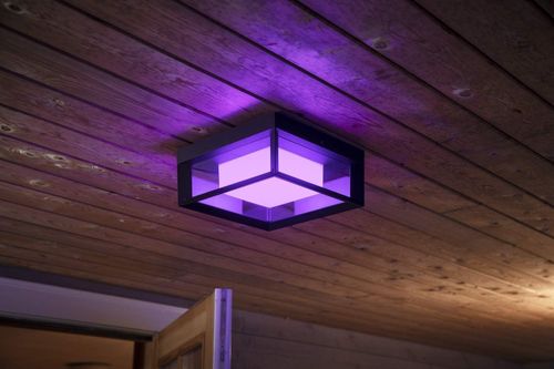 Philips Hue Econic Outdoor Smart Wall Ceiling Light White Colour Ambiance Black — image 3