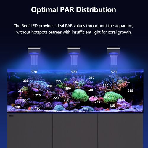 PopBloom RL115 WiFi LED Light Marine LED Aquarium Lighting Reef Aquarium Coral — image 3